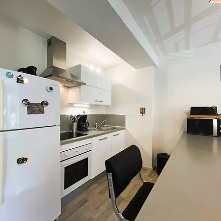 Appartement T2 Bis Rénové Au Mont-dore Avec Wifi Proche Des Thermes - Fr-1-608-12 *