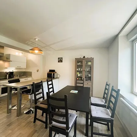 T2 Bis Renove Au Mont-dore Avec Wifi Proche Des Thermes - Fr-1-608-12 Daire