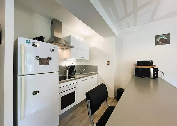 Apartment T2 Bis Renove Au Mont-dore Avec Wifi Proche Des Thermes - Fr-1-608-12 *