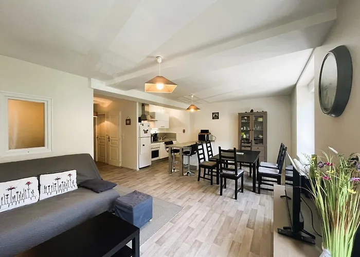 Apartment T2 Bis Renove Au Mont-dore Avec Wifi Proche Des Thermes - Fr-1-608-12 Le Mont-Dore